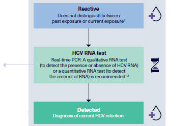 Ready to diagnose HCV?